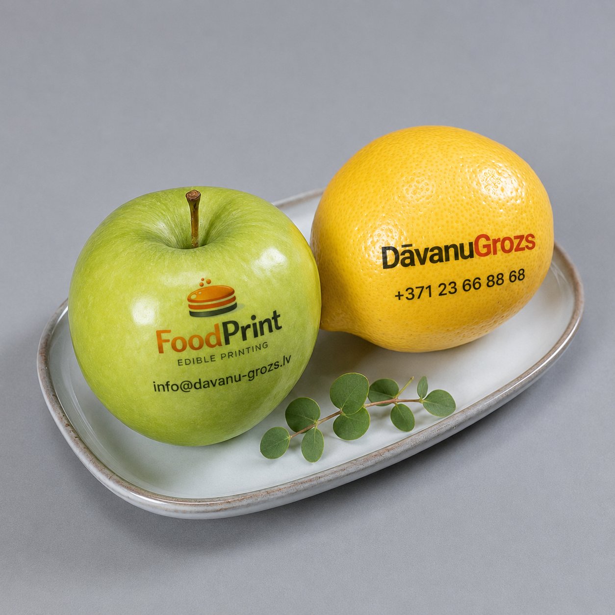 FoodPrint kontakti